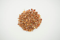 Go Go Sprouting Seeds Organic - Seedsplant