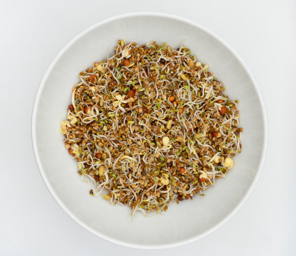 Go Go Sprouting Seeds Organic