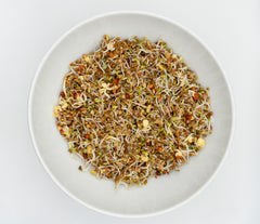 Go Go Sprouting Seeds Organic - Seedsplant