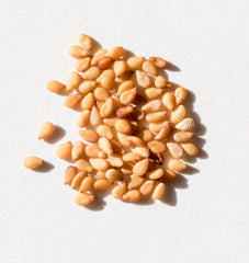 Gold Sesame - Seedsplant