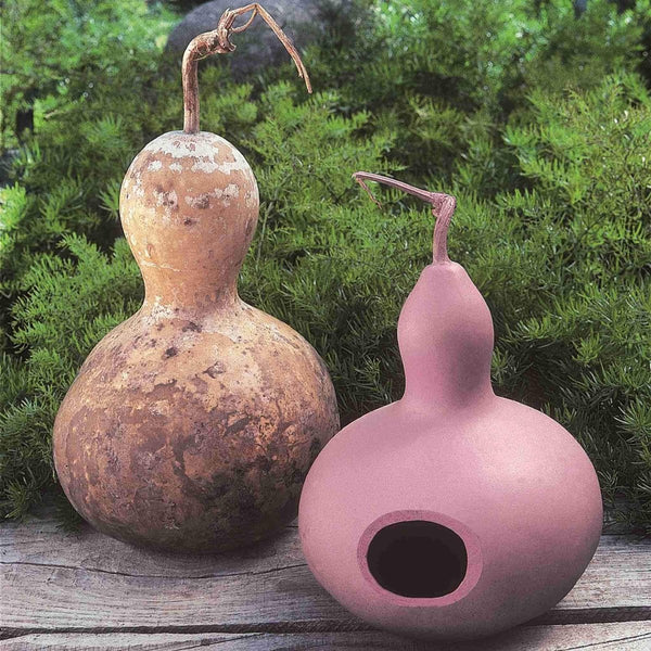 Gourd, Birdhouse Seeds, 3.5g