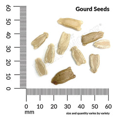 Gourd, Birdhouse Seeds, 3.5g