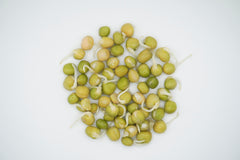 Green Peas Organic - Seedsplant