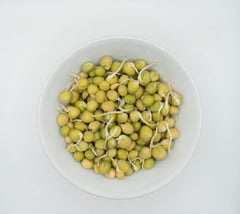 Green Peas Organic - Seedsplant