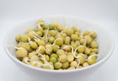 Green Peas Organic - Seedsplant