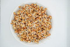 Green Lentils Organic - Seedsplant
