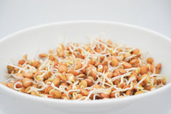 Green Lentils Organic - Seedsplant
