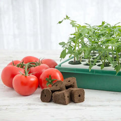 Gurney's Seed Starting Kit