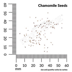 Chamomile Organic Seeds, 200mg