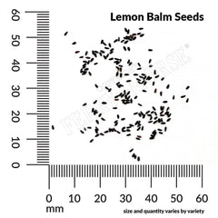 Lemon Balm Seeds, 500mg