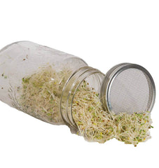 Sprouting Jar with Metal Lid and Seeds - Seedsplant