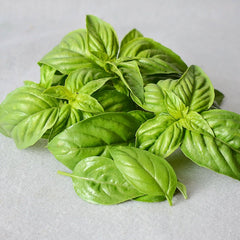 Sweet Basil
