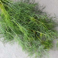 Dukat Dill