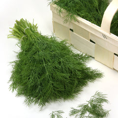 Hera Dill