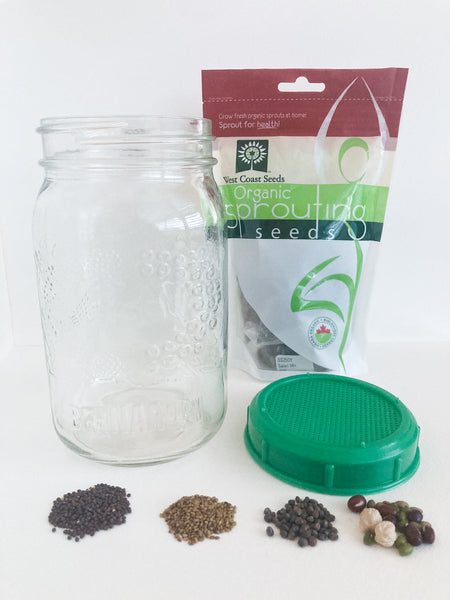 Sprouting Jar with Plastic Lid and Seeds