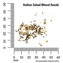 Italian Salad Blend Seeds, 1.8g