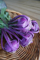 Azur Star Organic