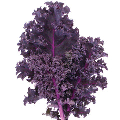 Redbor Kale