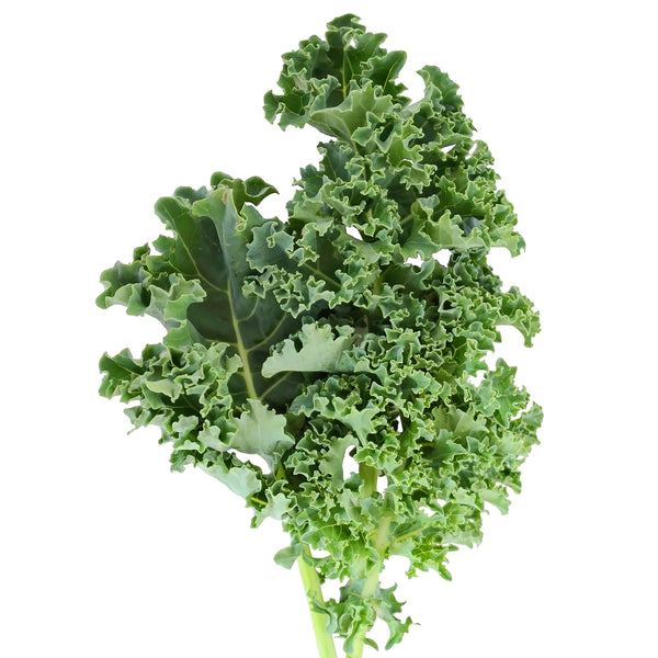 Starbor Kale