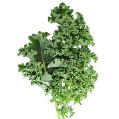 Starbor Kale