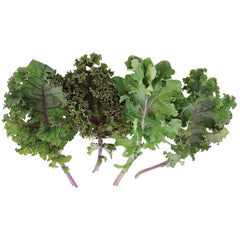 Red Blend Kale