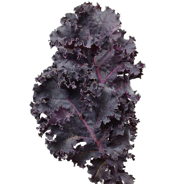 Scarlet Kale