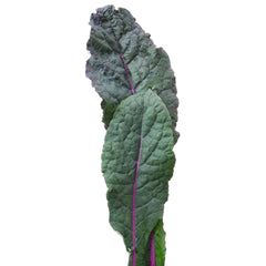 Dazzling Blue Kale
