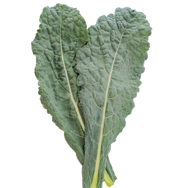 Black Magic Kale
