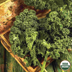 Kale, Dwarf Blue Curled Organic Seeds, 1.9g