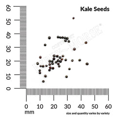 Kale, Red Russian Organic Seeds, 1.9g