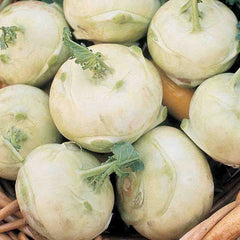 Kohlrabi, Early White Vienna Seeds, 1.8g