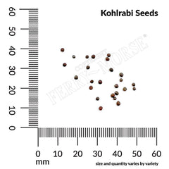 Kohlrabi, Early White Vienna Seeds, 1.8g