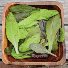 Garden Heirloom Blend Lettuce