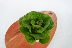 Newham Pelleted Organic