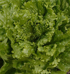 Tropicana Pelleted Organic