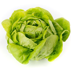 Rex Lettuce