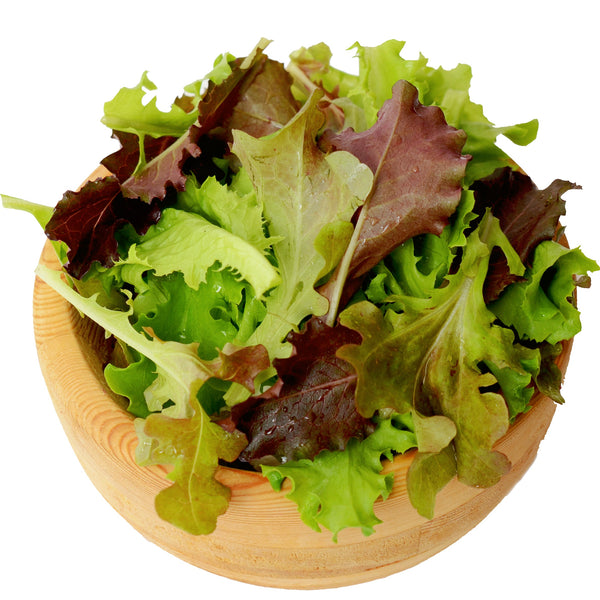 Lofty Salad Mix Lettuce