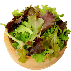 Lofty Salad Mix Lettuce