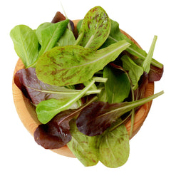 Heat Tolerant Lettuce Mix