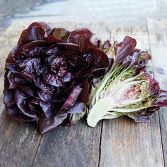 Pomegranate Crunch Lettuce