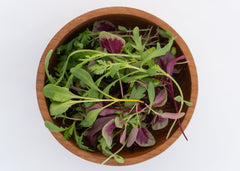 Three Week Microgreen Seeds