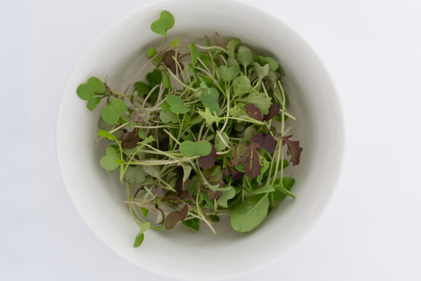 Two Week Microgreen Seeds