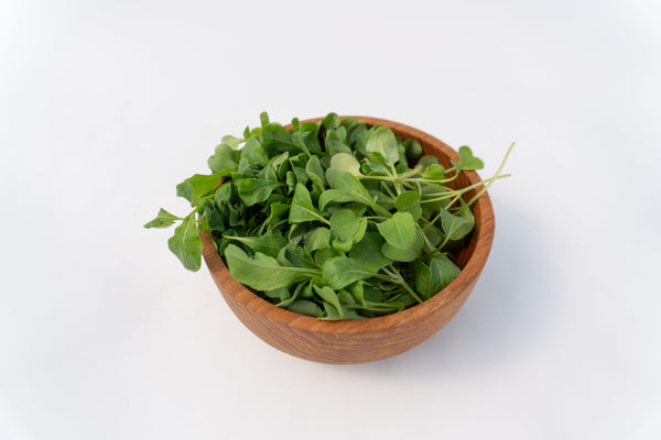 Microgreen Arugula Seeds