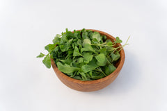 Microgreen Arugula Seeds