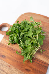 Microgreen Arugula Seeds