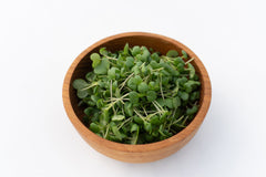 Microgreen Mustard Seeds