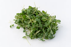 Microgreen Mustard Seeds