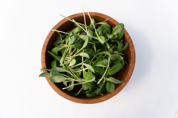 Micro Fenugreek Organic