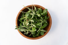 Micro Fenugreek Organic