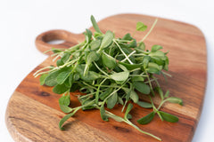 Micro Fenugreek Organic